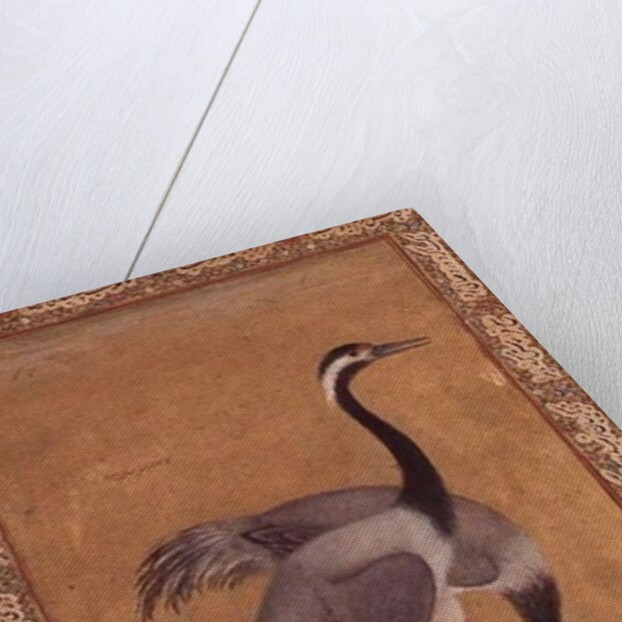 Cranes by Mansur, Jahangir Period, Mughal, 1775 by Indian School
