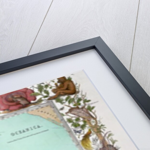 Oceanica, from Vogel's 'Physical Atlas', c.1850 by German School