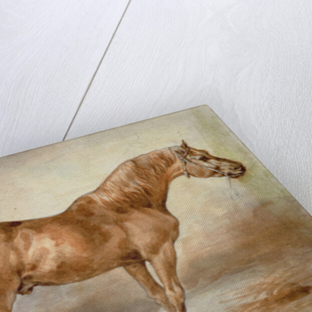 Horse in a Stable by Theodore Gericault