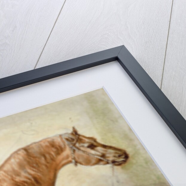 Horse in a Stable by Theodore Gericault