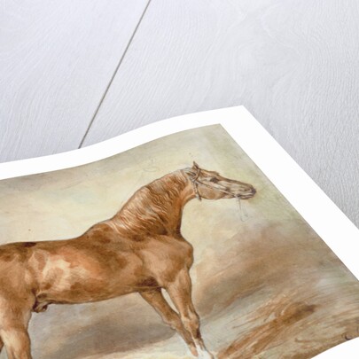 Horse in a Stable by Theodore Gericault