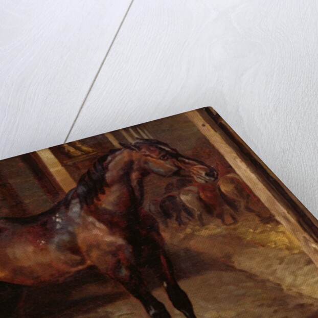 Anglo-Arabian Stallion in the Imperial Stables at Versailles by Theodore Gericault