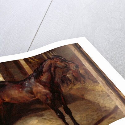 Anglo-Arabian Stallion in the Imperial Stables at Versailles by Theodore Gericault