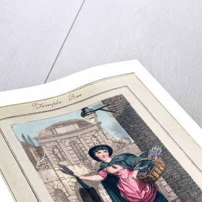 Lavender, Temple Bar by William Marshall Craig