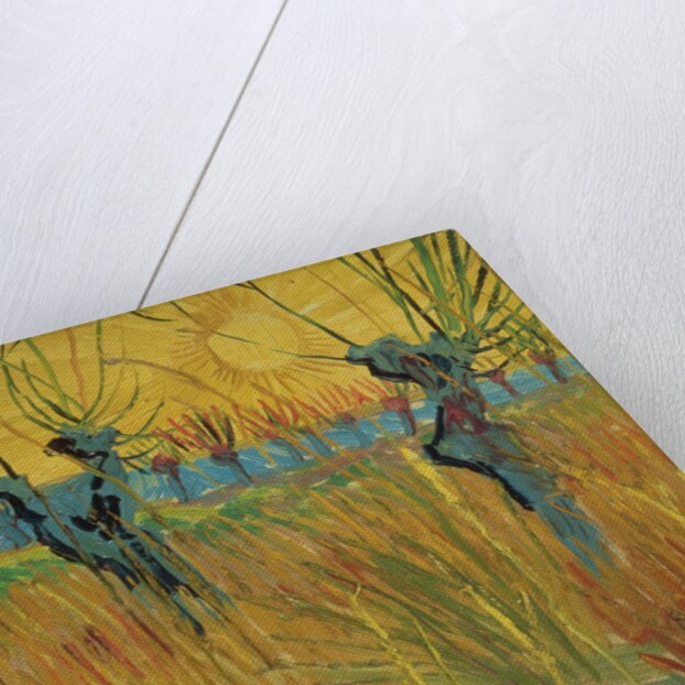 Pollard willows at sunset, 1888 by Vincent van Gogh