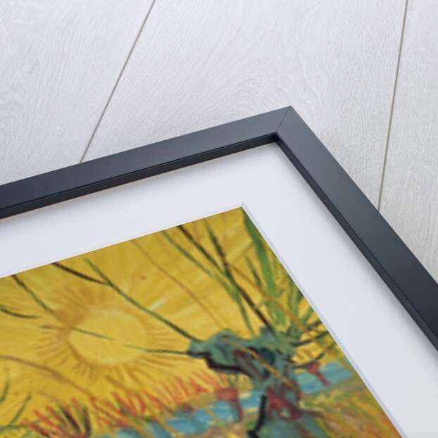 Pollard willows at sunset, 1888 by Vincent van Gogh