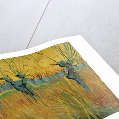 Pollard willows at sunset, 1888 by Vincent van Gogh