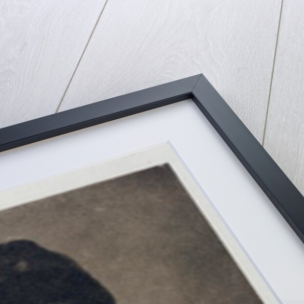 Portrait of Isabella Bird Bishop, 1881 by English Photographer