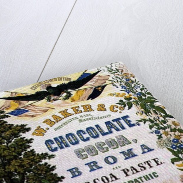 American Advertising Poster for Chocolate and other Cocoa products, 19th century by Anonymous