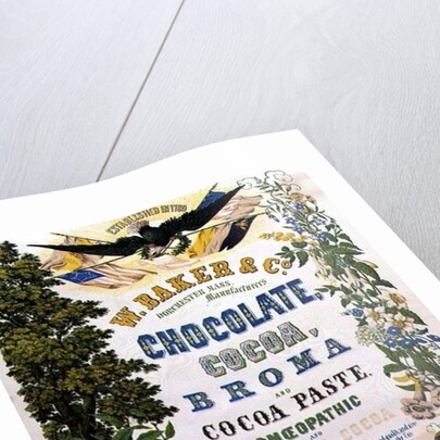 American Advertising Poster for Chocolate and other Cocoa products, 19th century by Anonymous