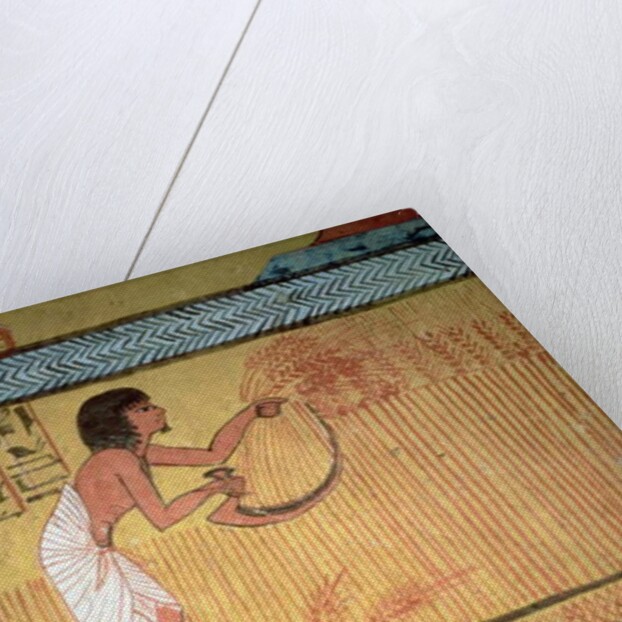 Detail of a harvest scene on the East Wall by Egyptian 19th Dynasty