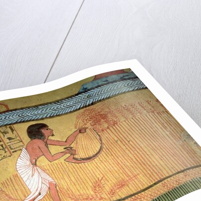 Detail of a harvest scene on the East Wall by Egyptian 19th Dynasty