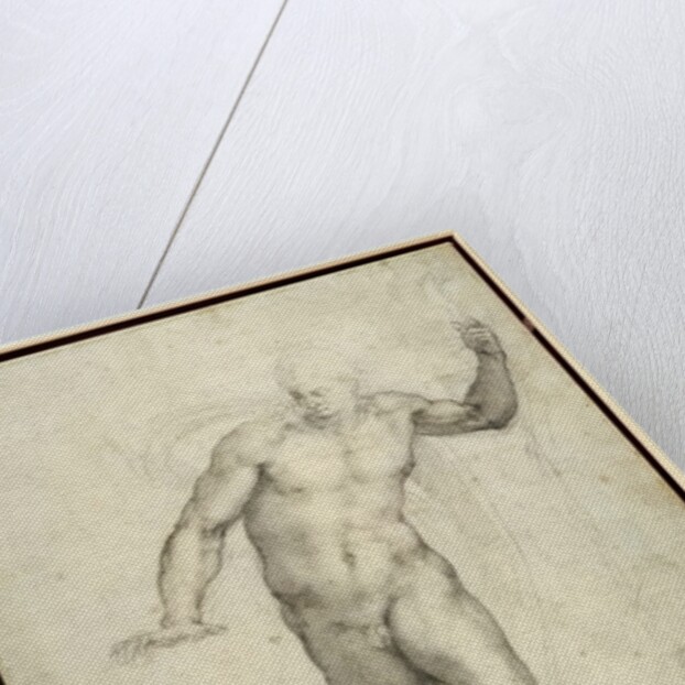 Study for The Last Judgement by Michelangelo Buonarroti