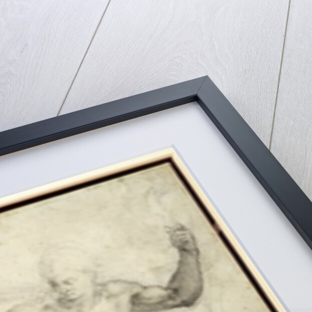 Study for The Last Judgement by Michelangelo Buonarroti