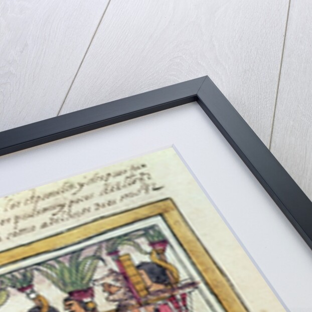 Codex Duran: Pedro de Alvarado companion-at-arms of Hernando Cortes besieged by Aztec warriors by Diego Duran