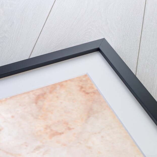 Inv. 1887-5-2-118 Recto Study of drapery by Michelangelo Buonarroti