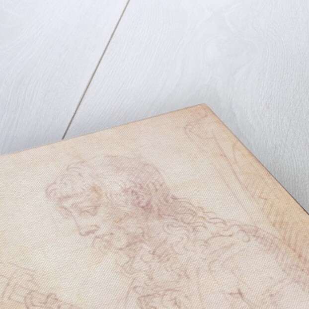 W.40 Sketch of a female figure by Michelangelo Buonarroti