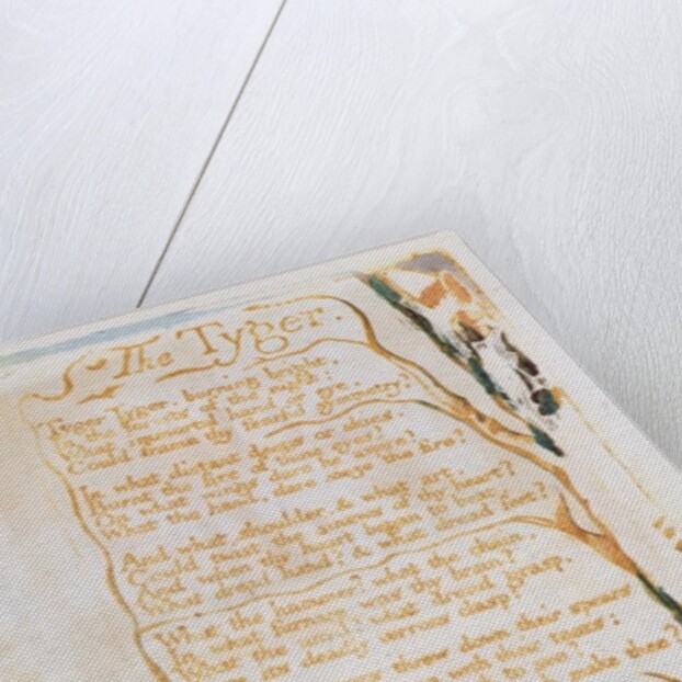 The Tyger by William Blake