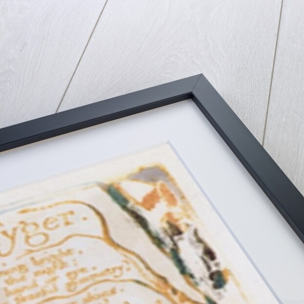 The Tyger by William Blake