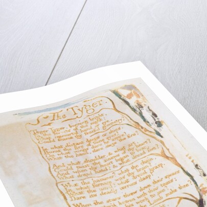 The Tyger by William Blake