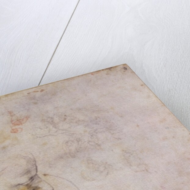 W.60 Sketch of a male head, in two positions by Michelangelo Buonarroti