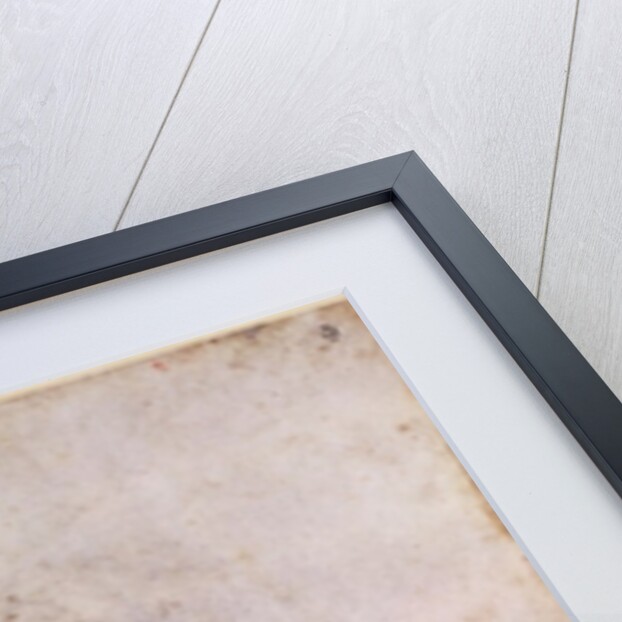 W.60 Sketch of a male head, in two positions by Michelangelo Buonarroti