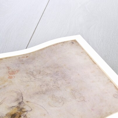 W.60 Sketch of a male head, in two positions by Michelangelo Buonarroti