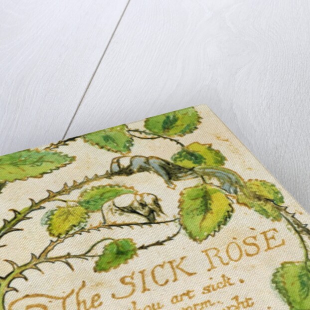 The Sick Rose by William Blake