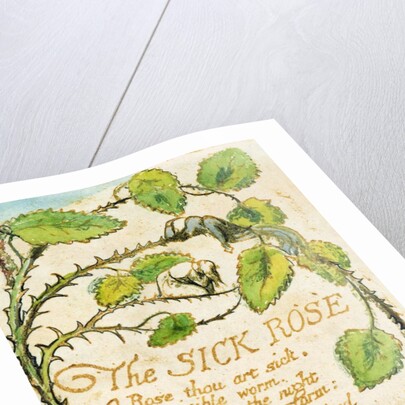 The Sick Rose by William Blake