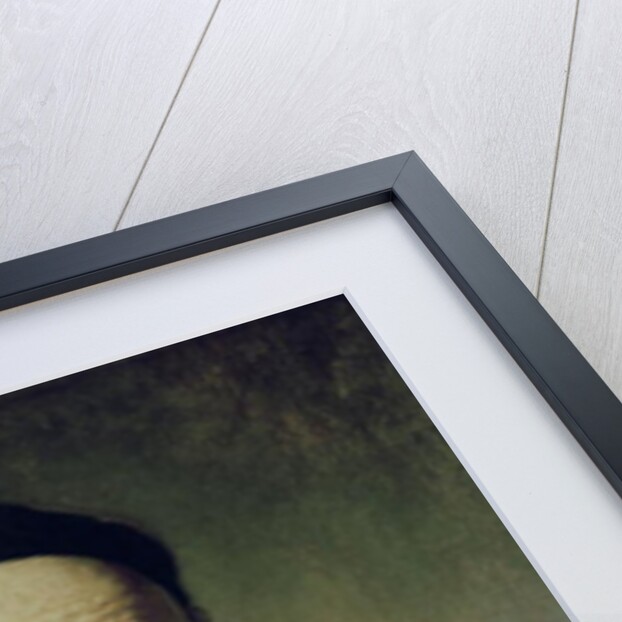 Bust of an Old Man, 1631 by Rembrandt Harmensz. van Rijn