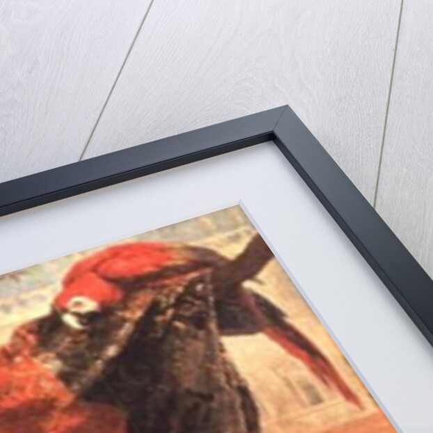 Still Life by Michele Pace del Campidoglio