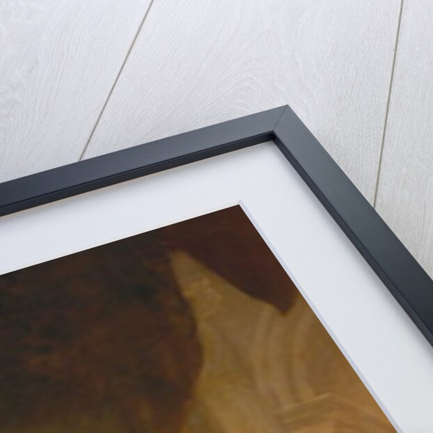 King George II, 1759 by Robert Edge Pine