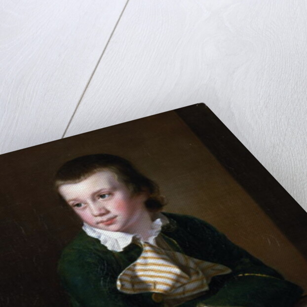 Portrait of the Revd William Rastall as a Boy by Joseph Wright of Derby