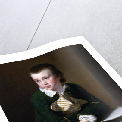 Portrait of the Revd William Rastall as a Boy by Joseph Wright of Derby