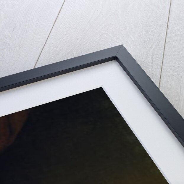 Sir Richard Arkwright, 1789-90 by Joseph Wright of Derby