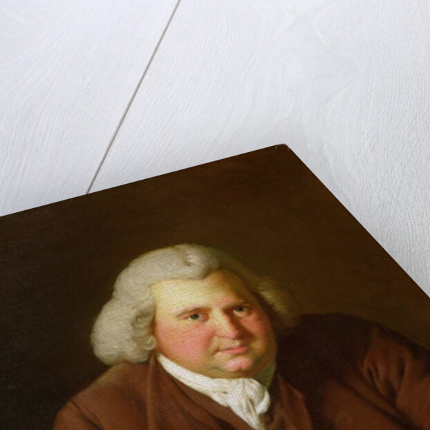 Portrait of Dr Erasmus Darwin, 1770 by Joseph Wright of Derby