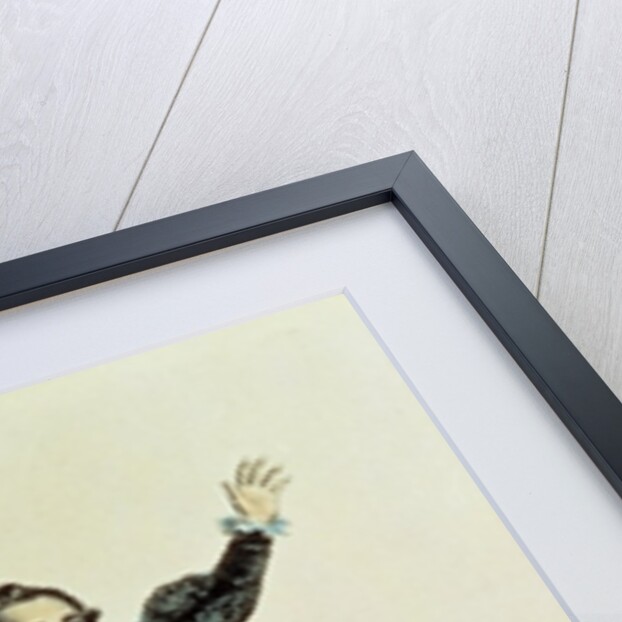 Mr Holman in the Character of Romeo, pub. 1784 by Anonymous