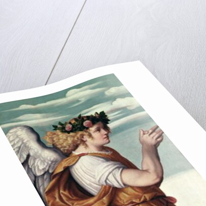 An Adoring Angel, c.1540 by Moretto da Brescia