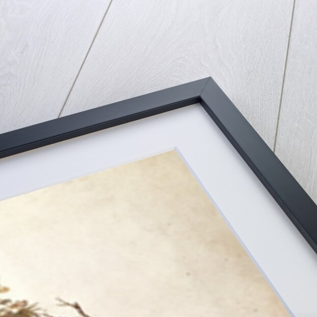 Inhabitants of the Island of Terra del Fuego in their Hut by Alexander Buchan