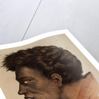 Natai, a Maori chief from Bream Bay, New Zealand by Louis Auguste de Sainson