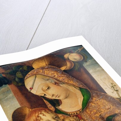 Virgin and Child, c.1480 by Carlo Crivelli