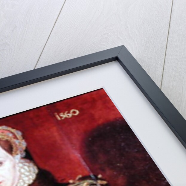 Elizabeth Fitzgerald, Countess of Lincoln, 1560 by Steven van der Meulen