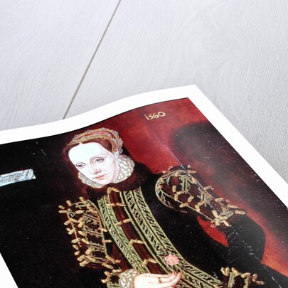 Elizabeth Fitzgerald, Countess of Lincoln, 1560 by Steven van der Meulen