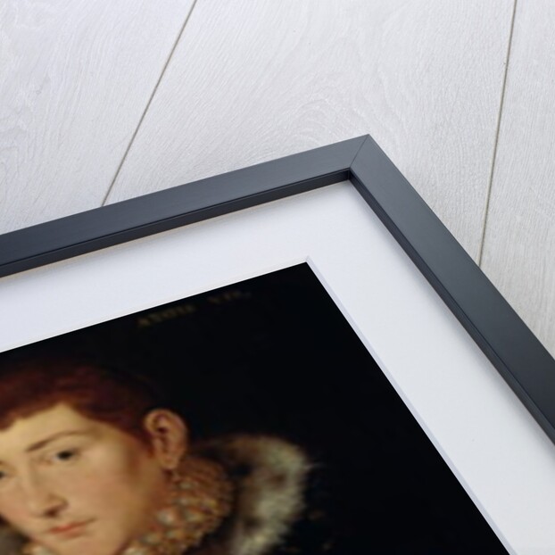 Lady Mary Nevill and her son Gregory Fiennes, 1559 by Hans Eworth or Ewoutsz