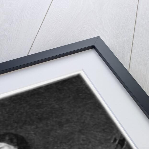 Count Pyotr Semyonovich Prozorovsky with his embassy in England in 1670 by English School