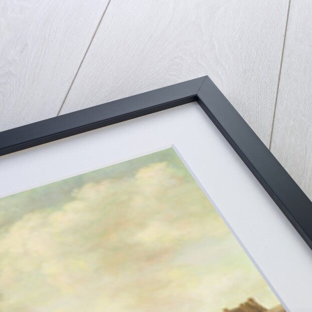 Announcement of the Peace of Breda in the Grote Markt, Haarlem, c.1667 by Gillis Rombouts