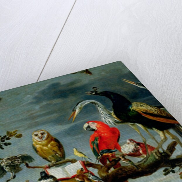 Concert of Birds by Frans Snyders or Snijders