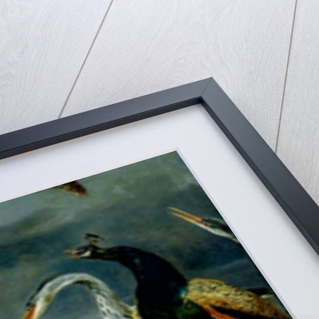 Concert of Birds by Frans Snyders or Snijders