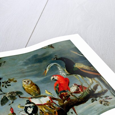 Concert of Birds by Frans Snyders or Snijders