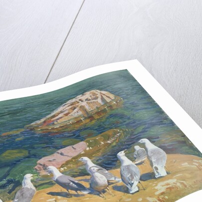 Seagulls, 1910 by Arkadij Aleksandrovic Rylov